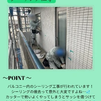 画像251