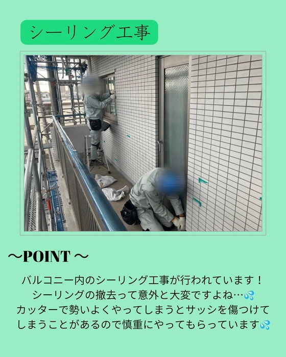 画像251