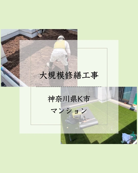 画像317